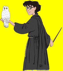 Qui est harry Potter